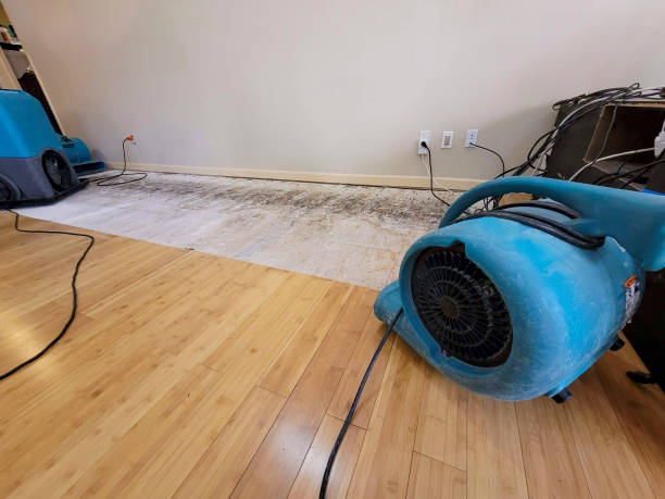 Professional Structural Drying technician working in Clarkston, MI